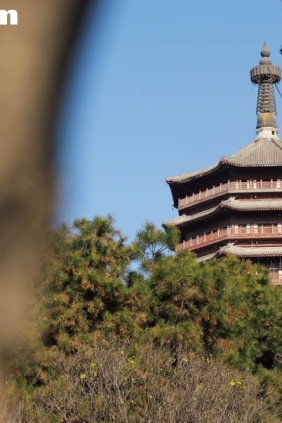 [YITUYU艺图语]2025.11.29 北京园博园 野生小摄[25P327M]
